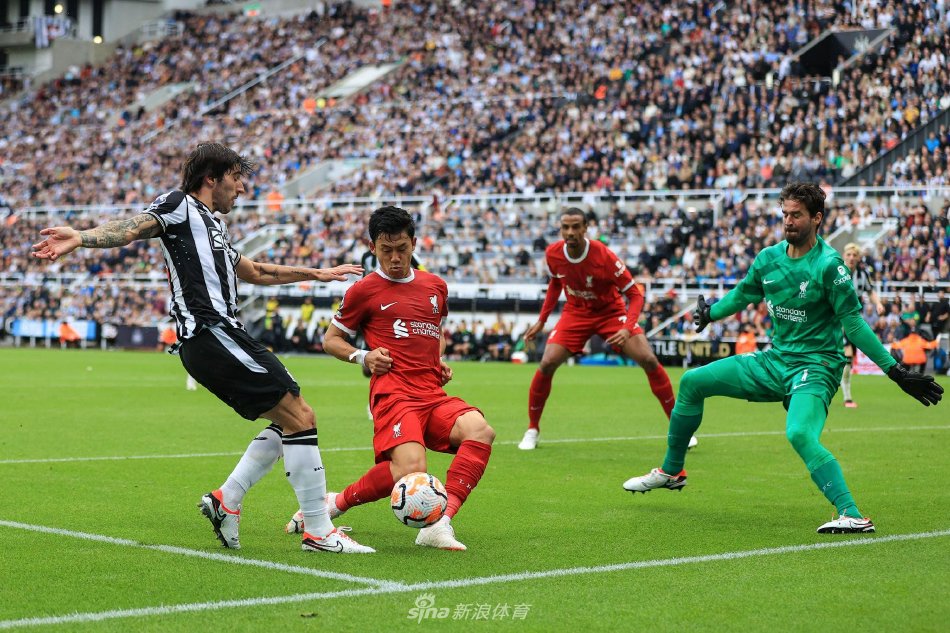 萨利巴的防 萨利巴的防